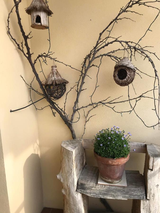 Bed and Breakfast La Combriccola à SantʼArcangelo di Romagna Extérieur photo