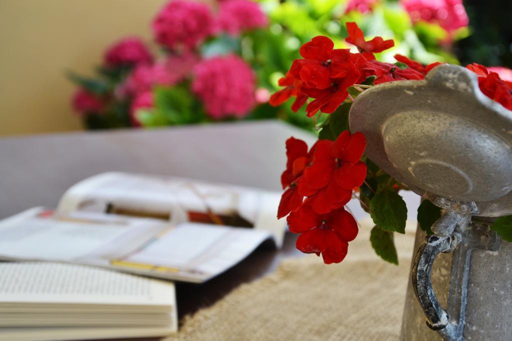 Bed and Breakfast La Combriccola à SantʼArcangelo di Romagna Extérieur photo